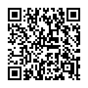 QR code linking to https://deploy-preview-3371--gohugoio.netlify.app/configuration/media-types/